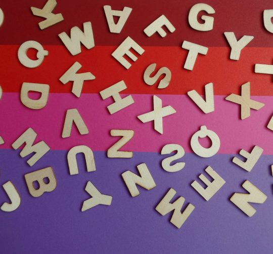 Beitragsbild Quagga Krypto Quiz - spannende Crypto Fragen rund um das Thema Crypro / Altcoins, Tokens, Blockchain und Co.