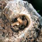 quagga.de,Willkommen