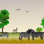 Bilder Quaggas & Zebras in der quagga.de Foto Galerie Fotos 2